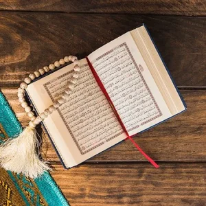 Learn Quran with Tajweed